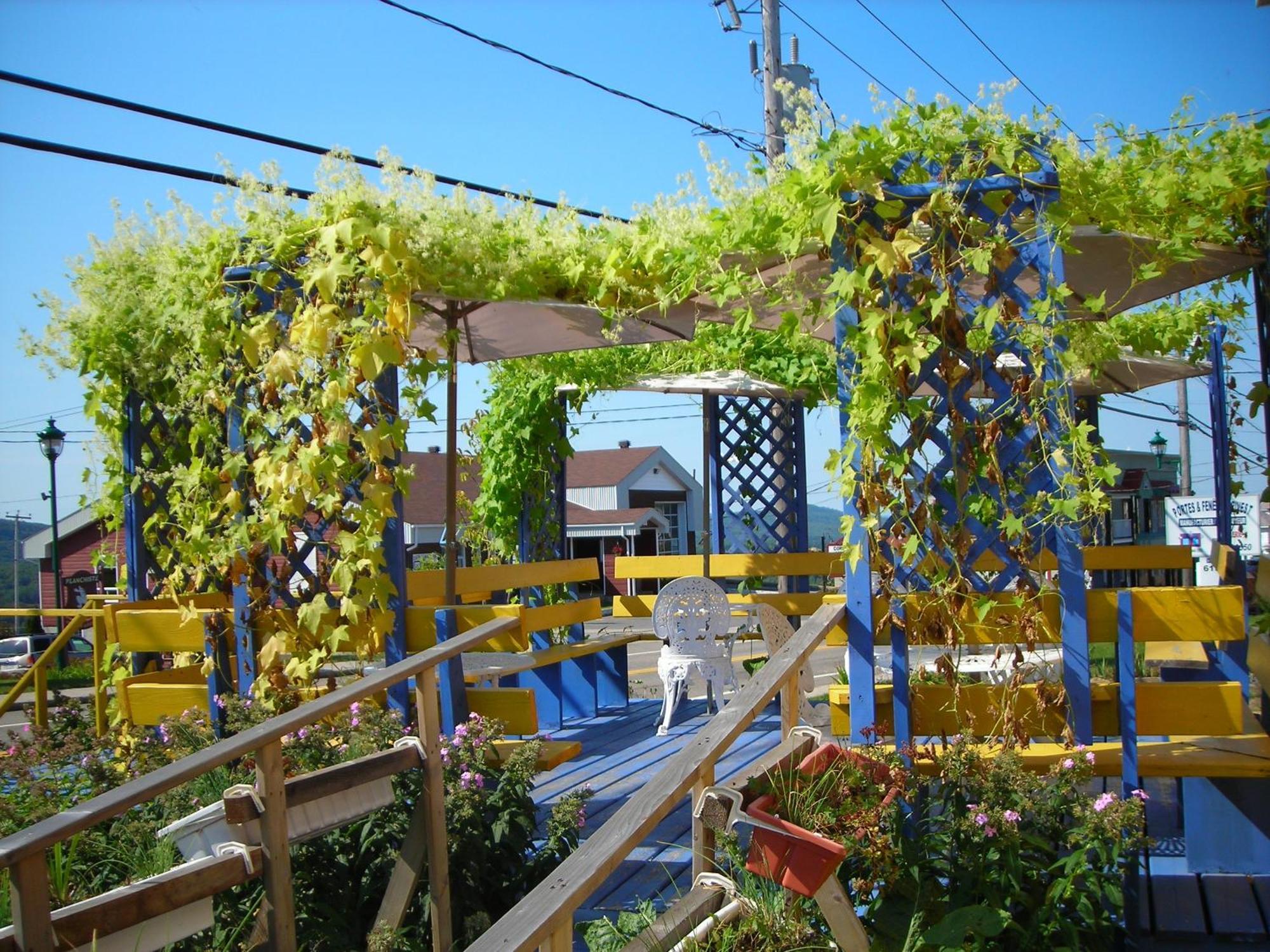 Gite Des Hauteurs Et Cafe De La Place Saint Zenon Exterior foto