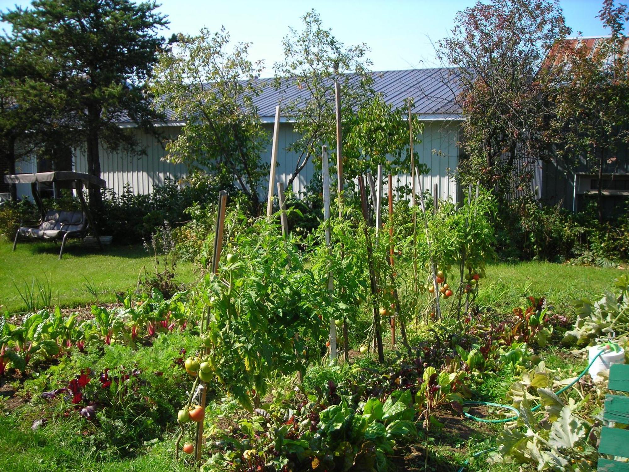 Gite Des Hauteurs Et Cafe De La Place Saint Zenon Exterior foto